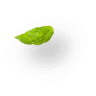 The Online  Grocery Store